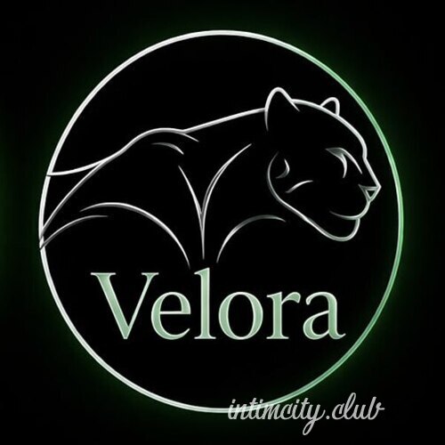  Velora 45291