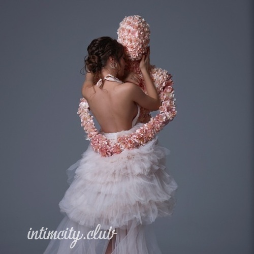  Виолетта 43290